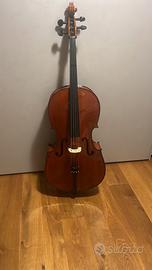 Violoncello