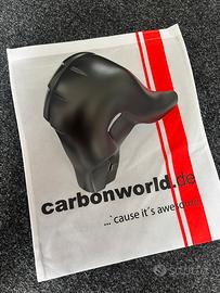 Paracalore carbonio Ducati Panigale Streetfighter