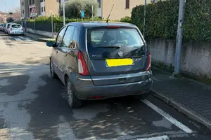 Lancia musa