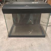 Acquario 