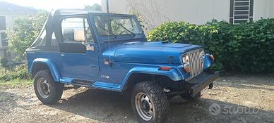 jeep Wrangler jy 1991 autocarro 