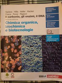 Il carbonio, gli enzimi, il DNA