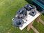 Immagine 5