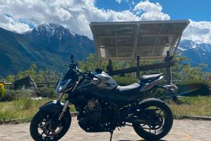 VOGE BRIVIDO 500 R 2021