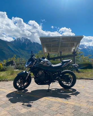 VOGE BRIVIDO 500 R 2021