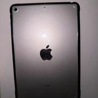 I pad mini 5