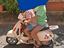 Immagine 5