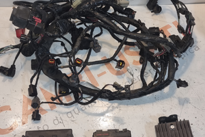 Impianto elettrico completo kawasaki z750 04