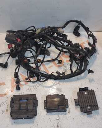 Impianto elettrico completo kawasaki z750 04