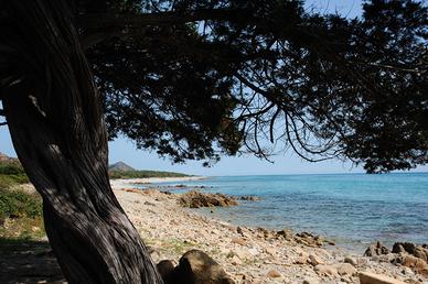 Ampio monolocale a Sos Alinos/Cala Liberotto