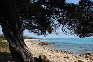 Residenza "Bolla Blu"a Sos Alinos/Cala Liberotto