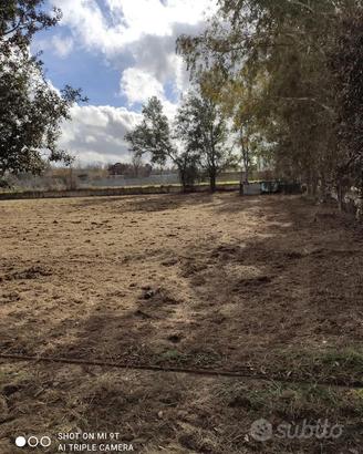 Terreno agricolo di 2700 mq a Varcaturo