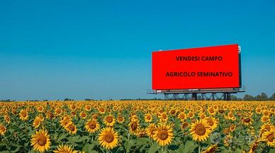 Minerbe semicentro: terreno agricolo