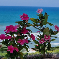 Anzio lungomare lido di Lavinio