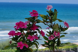 Anzio lungomare lido di Lavinio