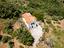 Immagine 26
