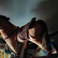 cavallo a dondolo con musica