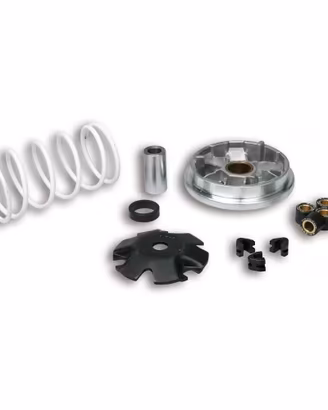 Variatore Multivar Malossi 518752 Peugeot 50 2 Tem
