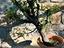 Immagine 3