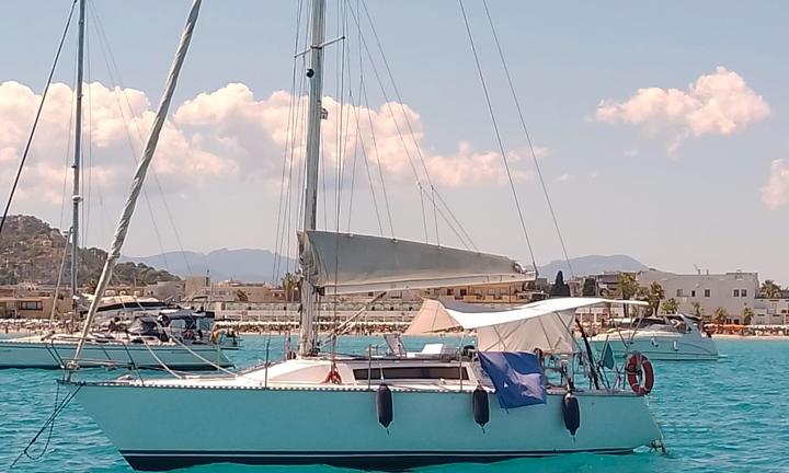 Barca a vela rax cantieri modello soxi six