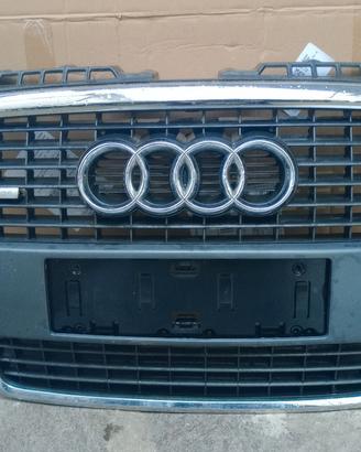 Calandra Originale Audi A3.