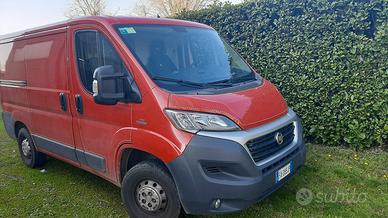 Furgone Fiat Ducato 2015 agosto 2000cc 115cv