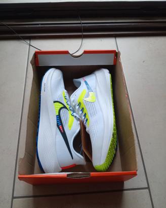 Nike Air Zoom Pegasus 39