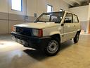 fiat-panda-900-i-e-cat-young