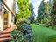 Immagine 19