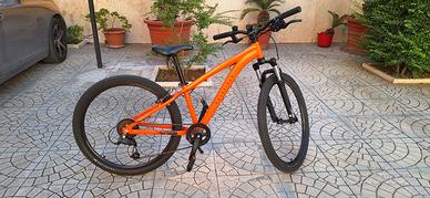Bicicletta ragazzo 