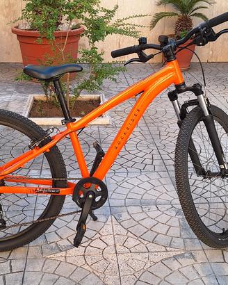 Bicicletta ragazzo 