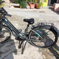 E bike bicicletta elettrica Brinke