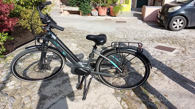 E bike bicicletta elettrica Brinke