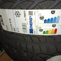 Gomme invernali 215/55/18 N U O V E Mai utilizzate