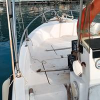 fiart pilotina 6.5 mt