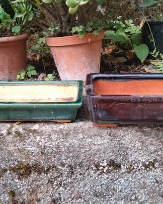 Vasi per bonsai in ceramica