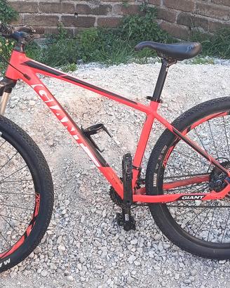 MTB 29 