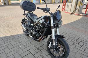 Benelli leoncino 500