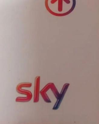 scheda tessera sky