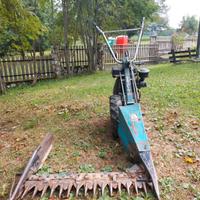 Bcs Acme motori Bertoloni