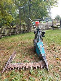 Bcs Acme motori Bertoloni