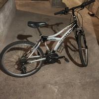 MTB Silverstar misura 24