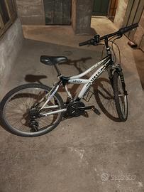 MTB Silverstar misura 24