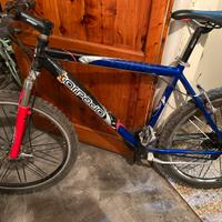 Graziella marca Tiziana