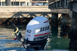 Calandra 40/70 murena