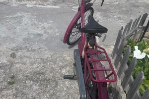 Bici con motore 50cc