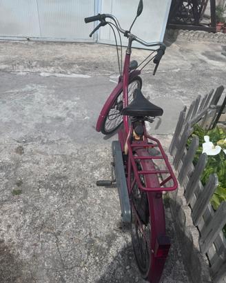 Bici con motore 50cc