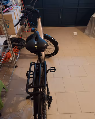 Cmacewheel L26 e bike