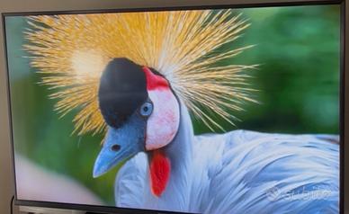 Sony BRAVIA 49″ 4K UR3 Android Tv
