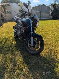 Honda Hornet 600
